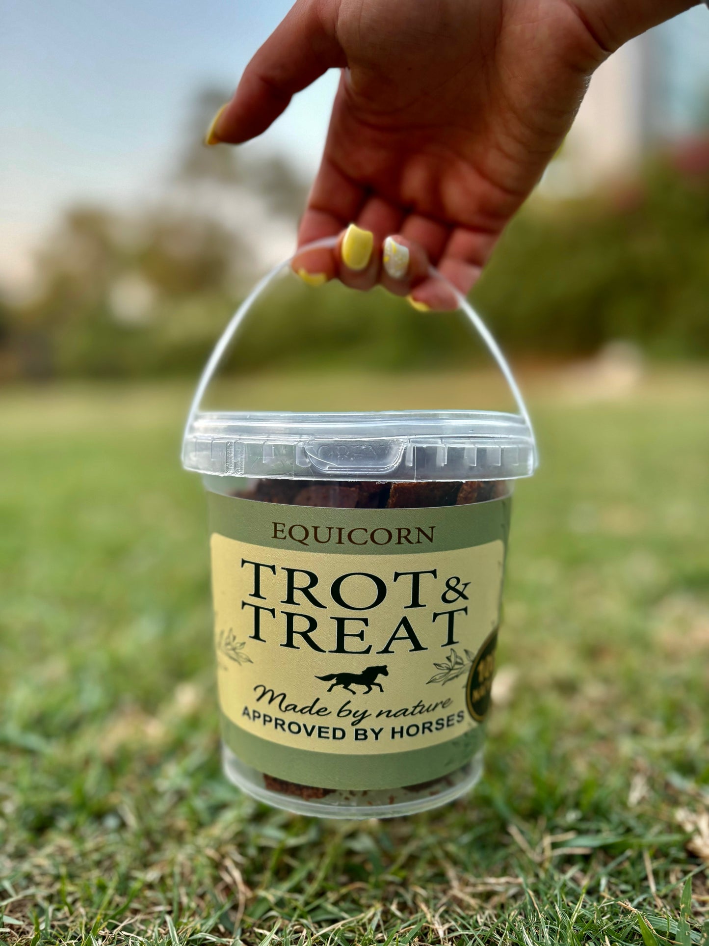 Equicorn Trot&Treats