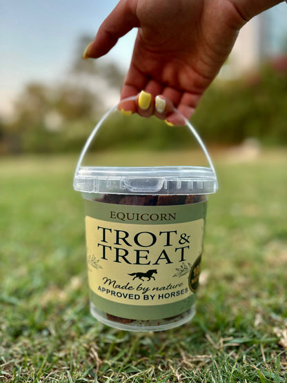 Equicorn Trot&Treats
