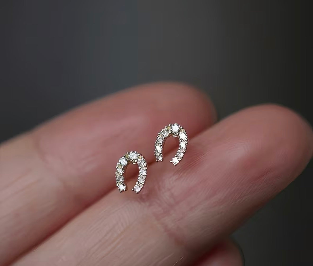 Horse Shoe Earrings